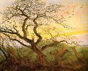 Caspar David Friedrich The Tree of Crows China oil painting reproduction